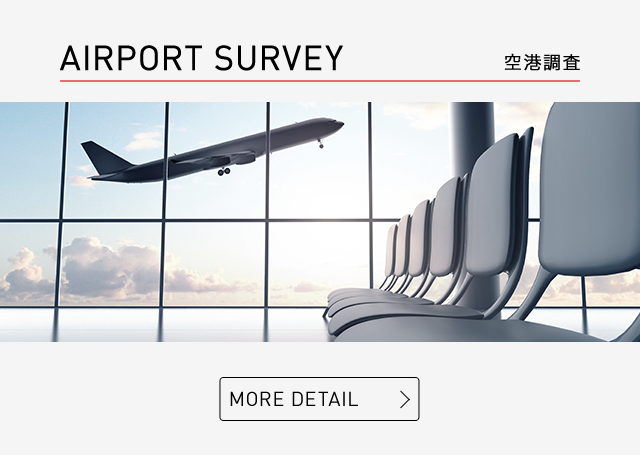 airport survey